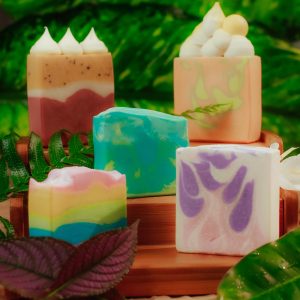 Plaster Casting Kit